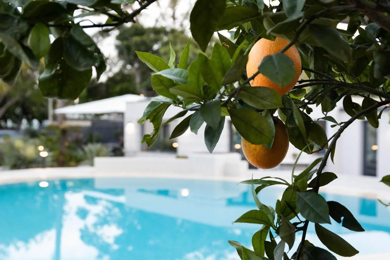 Gasthuis Villa Masetta - Luxury Suites Palermo